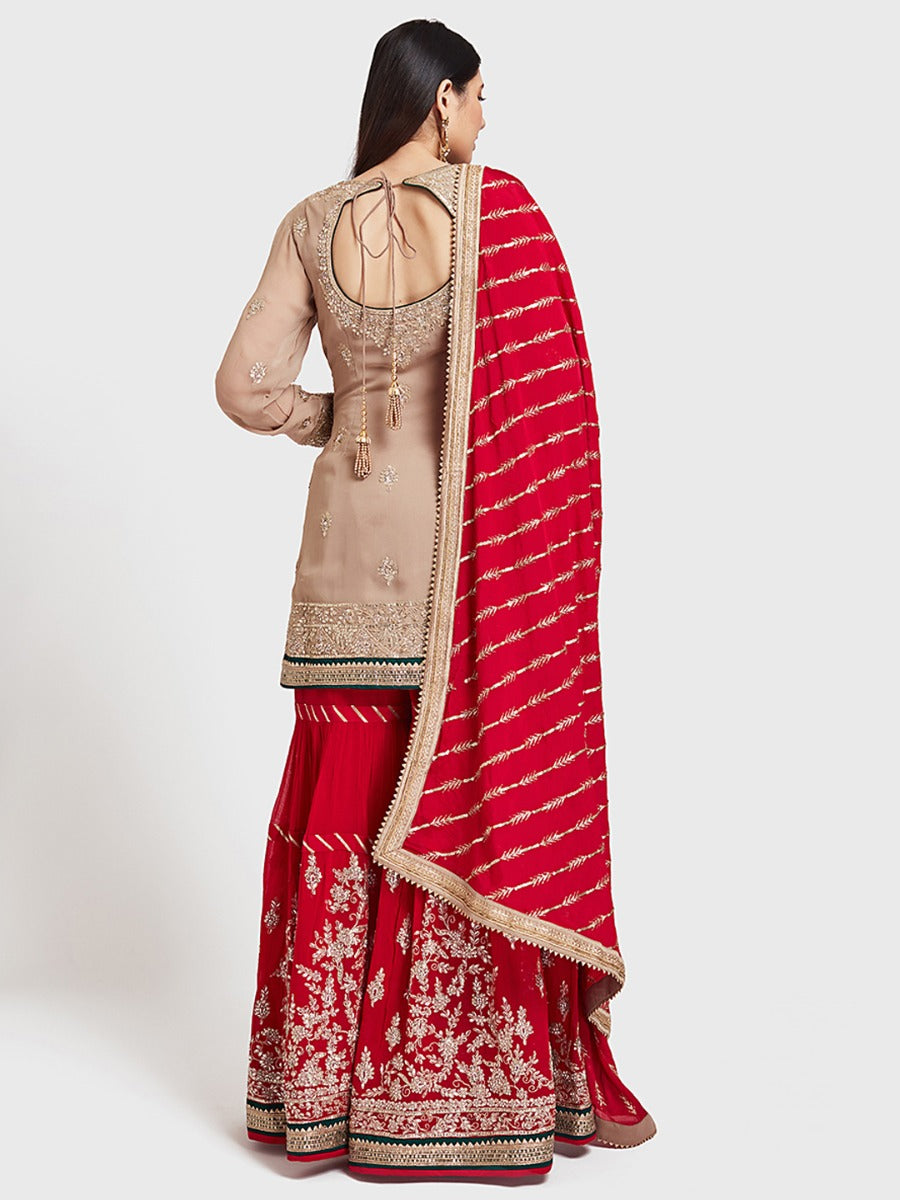 Neerus Beige georgette embroidered lehenga ghagra set - detail view 3
