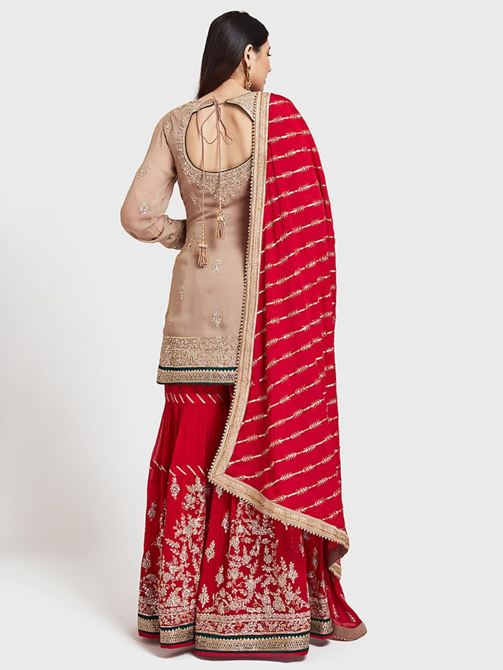 Neerus Beige georgette embroidered lehenga ghagra set - detail view 3