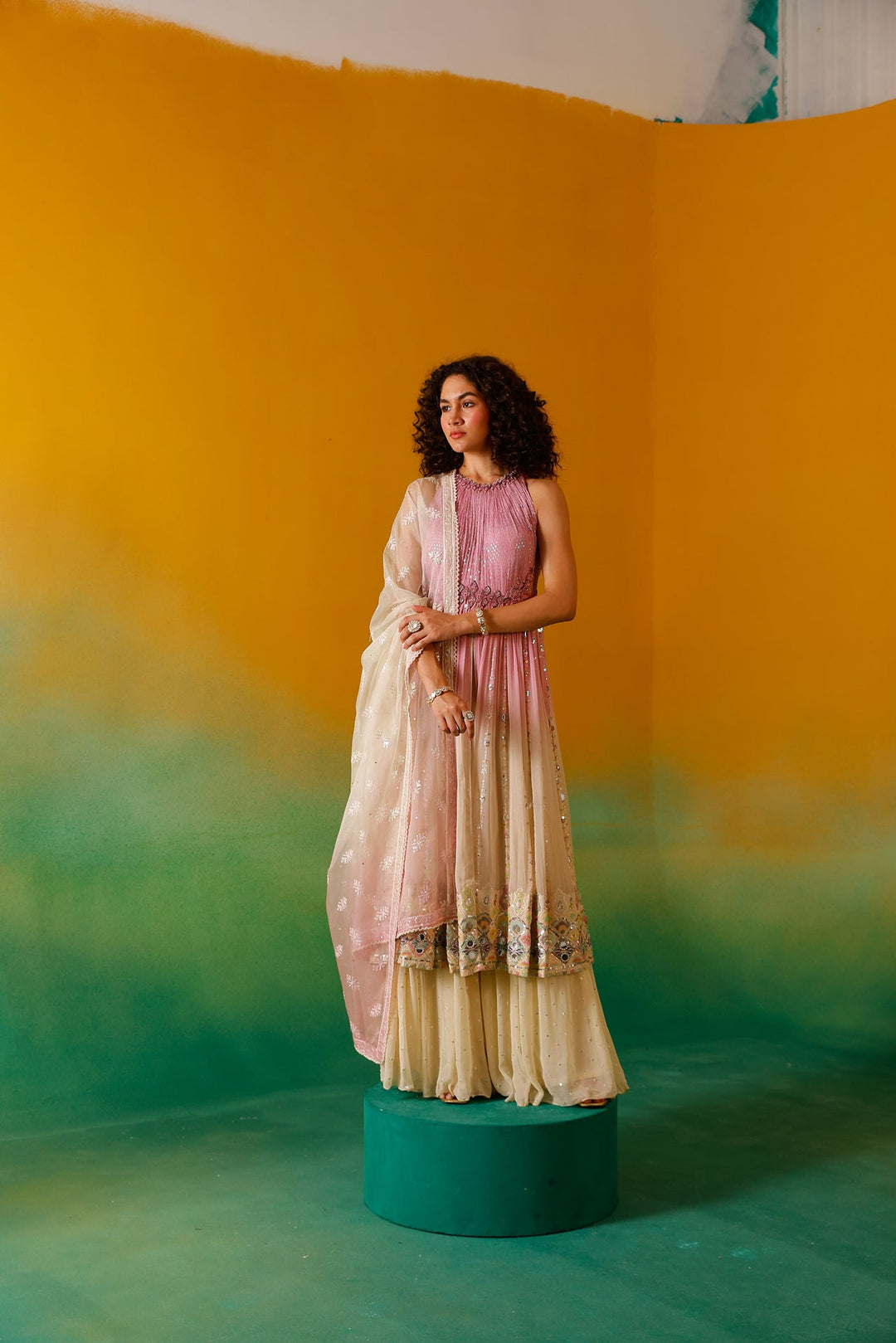 Neerus Pink chinon embellished anarkali suit set - back view