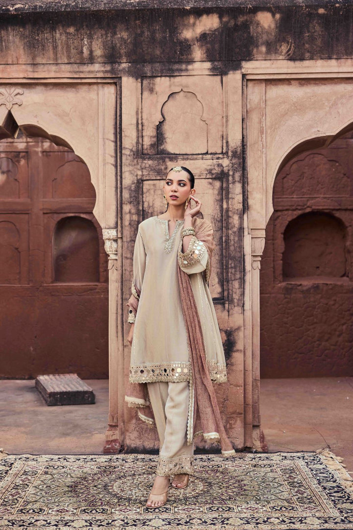 Neerus Gold organza mirror work kurta set - back view