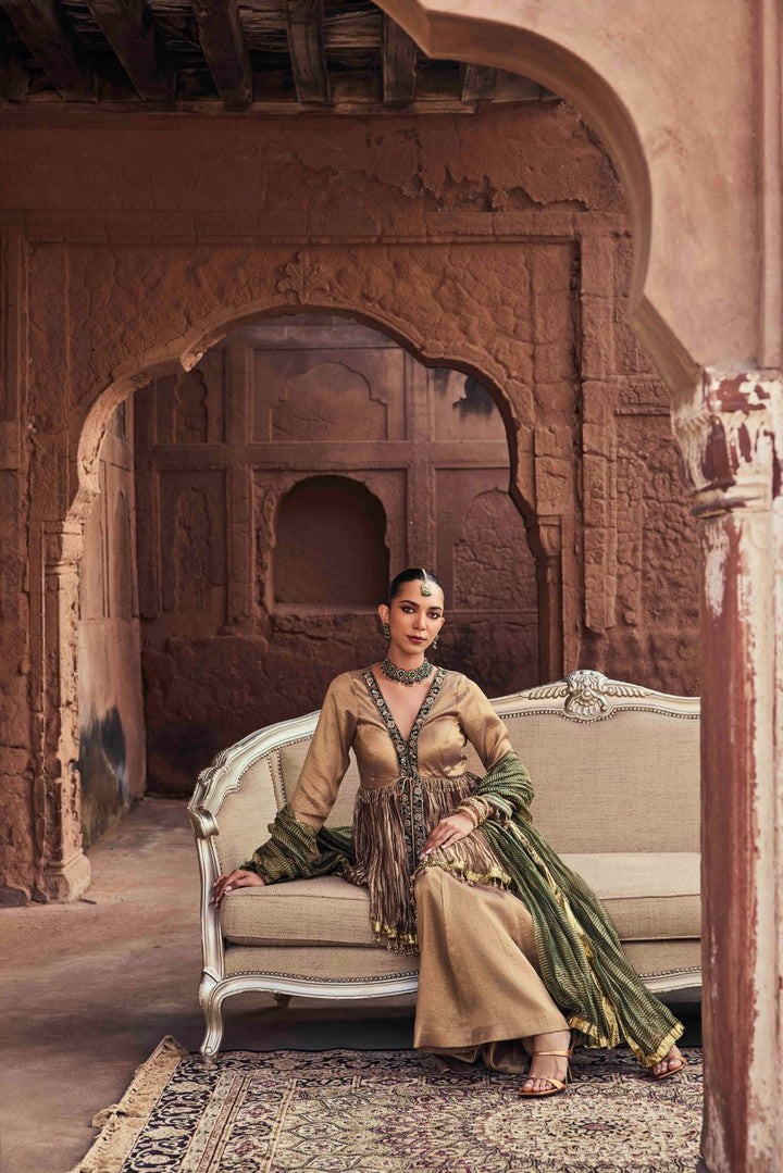 Neerus Brown organza embroidered kurta set with palazzo and dupatta - back view
