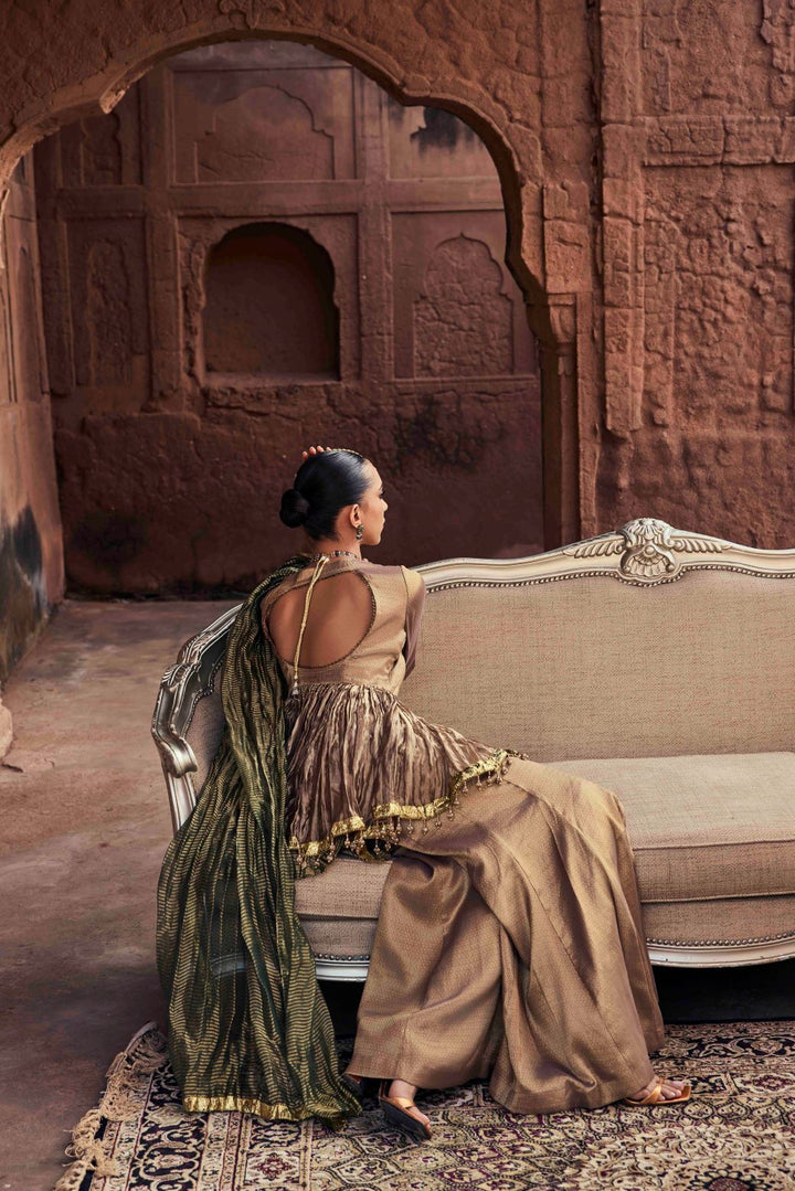 Neerus Brown organza embroidered kurta set with palazzo and dupatta - side view