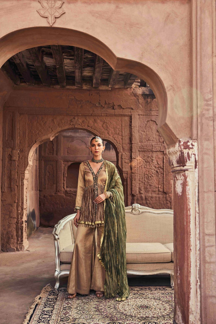 Neerus Brown organza embroidered kurta set with palazzo and dupatta - detail view 1