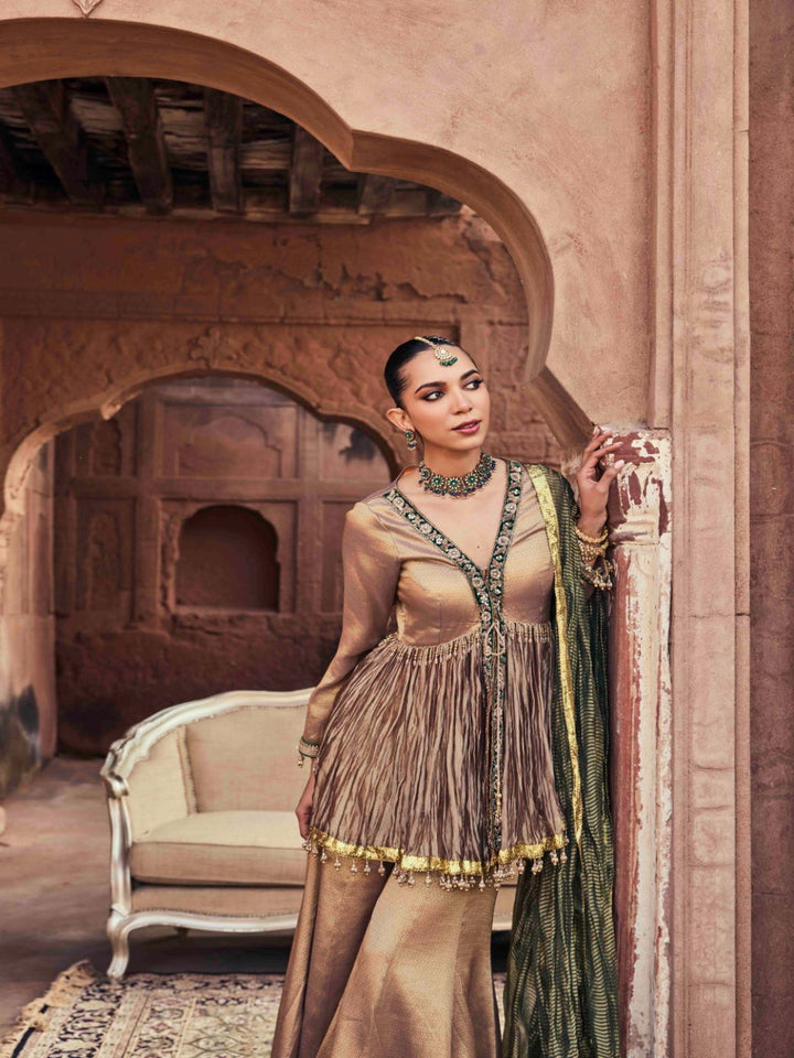 Neerus Brown organza embroidered kurta set with palazzo and dupatta - front view