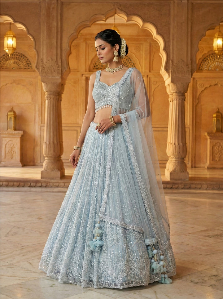 Neerus Blue net hand embroidered lehenga set - front view