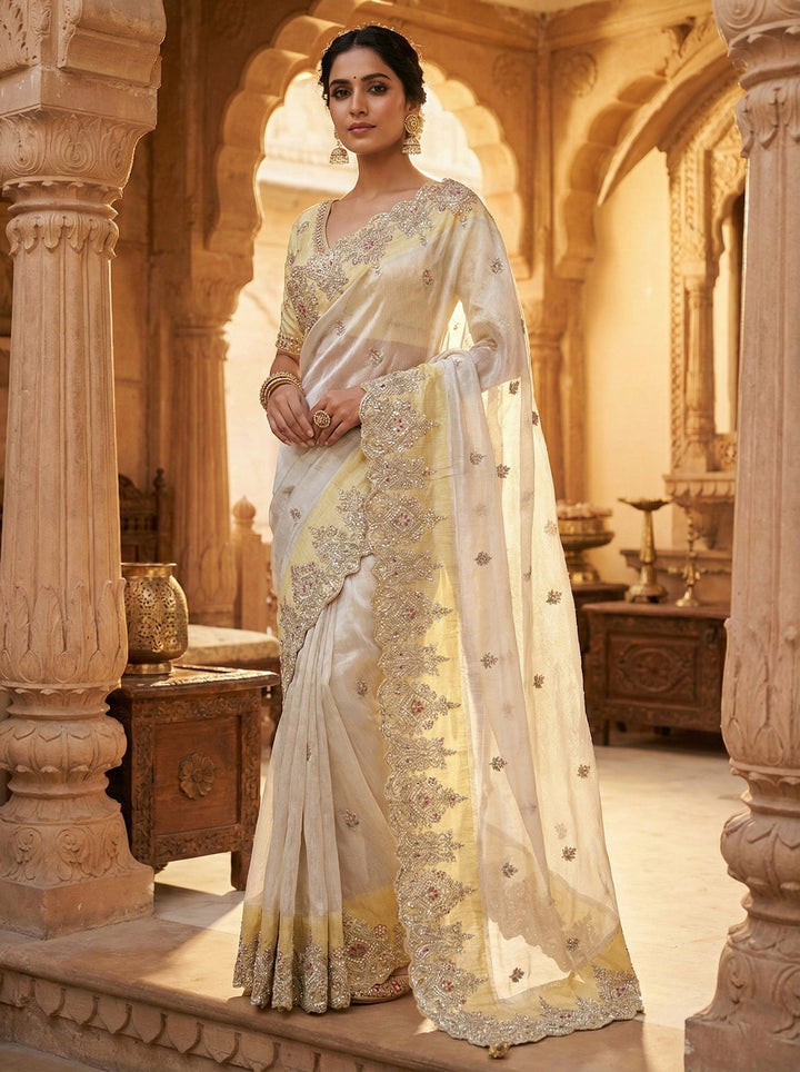 Neerus Grey tissue hand embroidered saree - front view