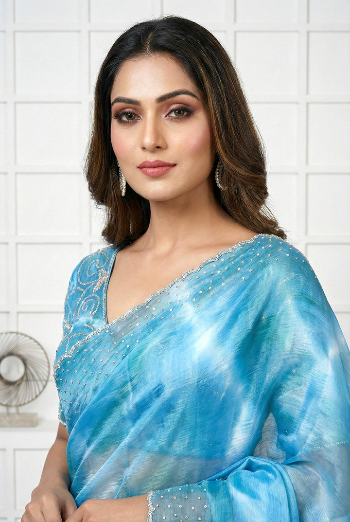 Neerus Blue organza embellished saree - back view
