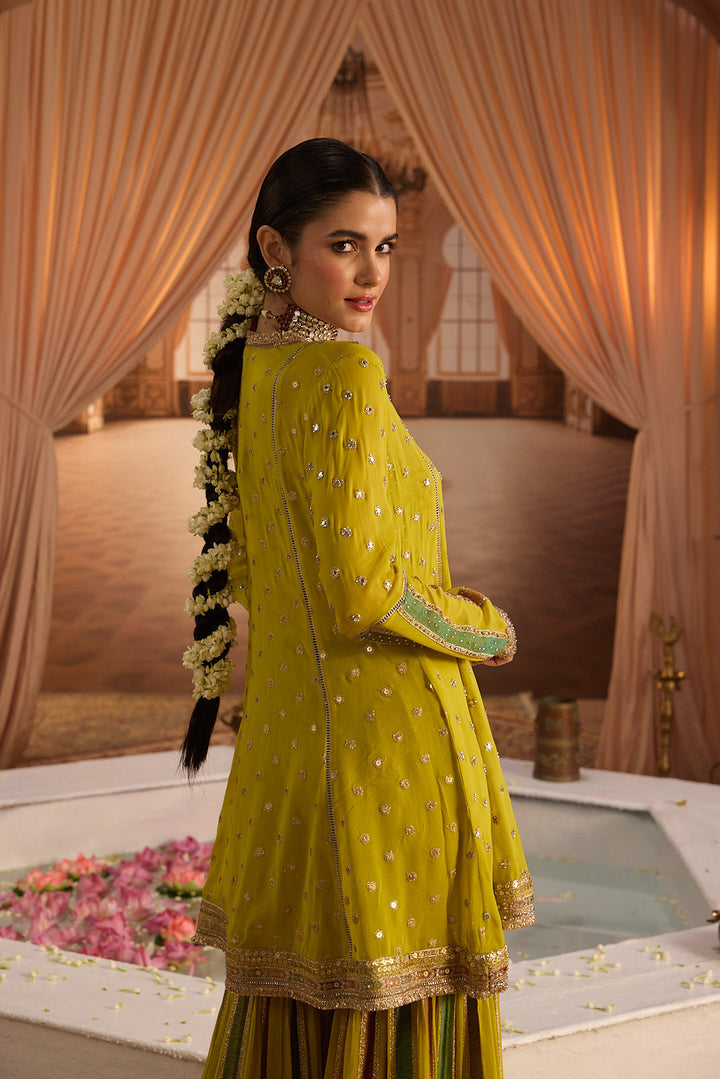 Neerus Variyali Green Embroidery Work Georgette Fabric Kurti and Gharara With Dupatta