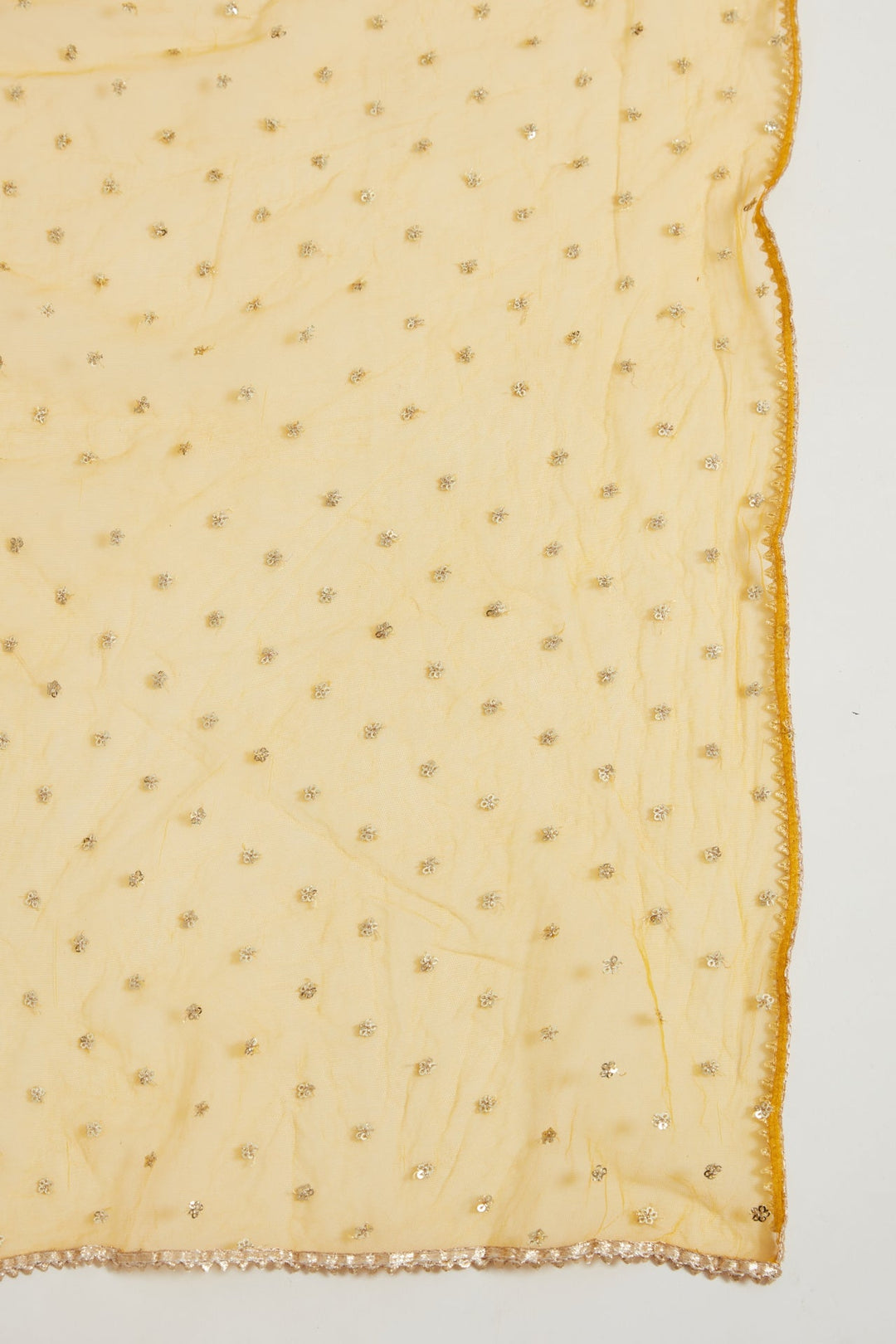 Neerus Yellow georgette embroidered gown - detail view 3