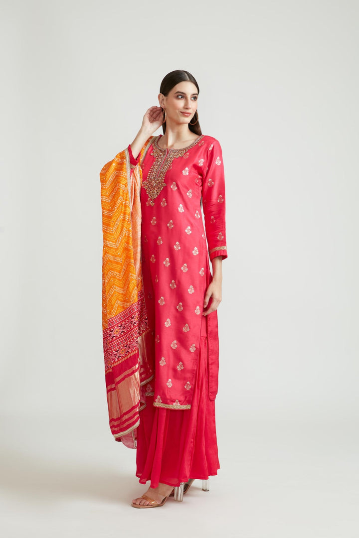 Neerus Pink Banarasi woven anarkali suit set - back view