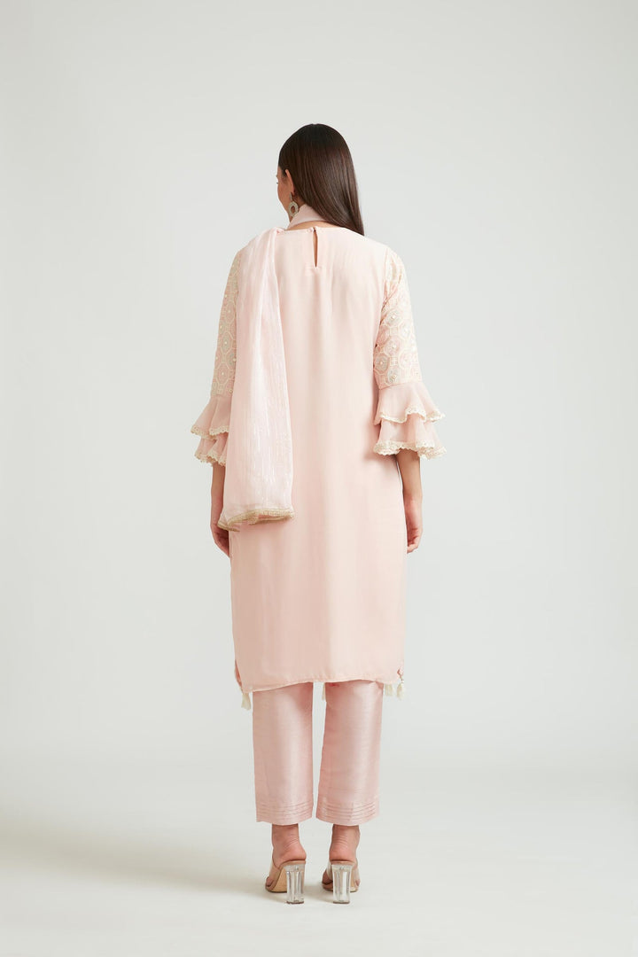 Neerus Pink georgette embroidered kurta set - back view