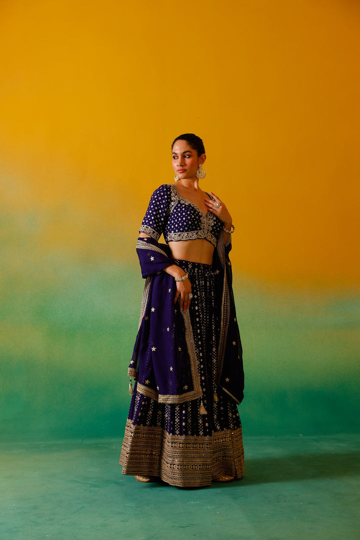 Neerus Purple Georgette Embroidered Lehenga Set - detail view 1