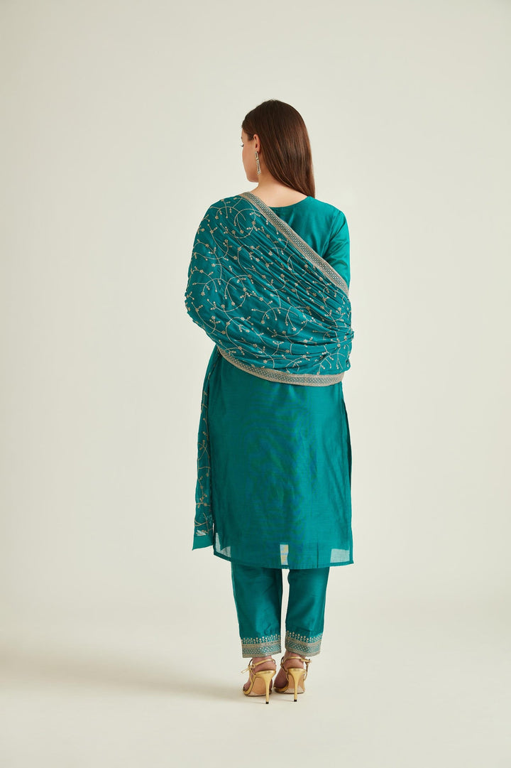 Neerus Green Chanderi Embroidered Kurta Set - back view