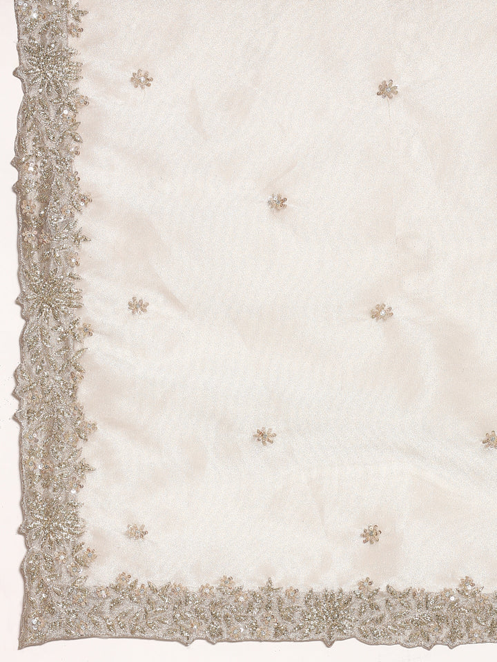 Silver tissue saree with Zari embroidery and contrast blouse