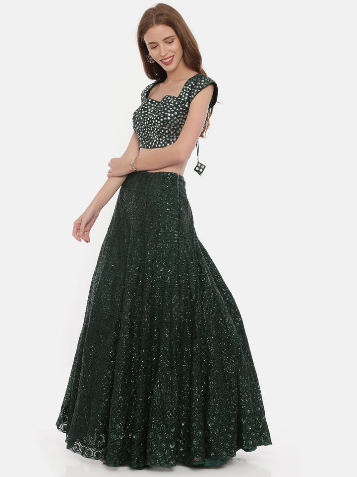 Neerus Green net embellished lehenga set - detail view 1