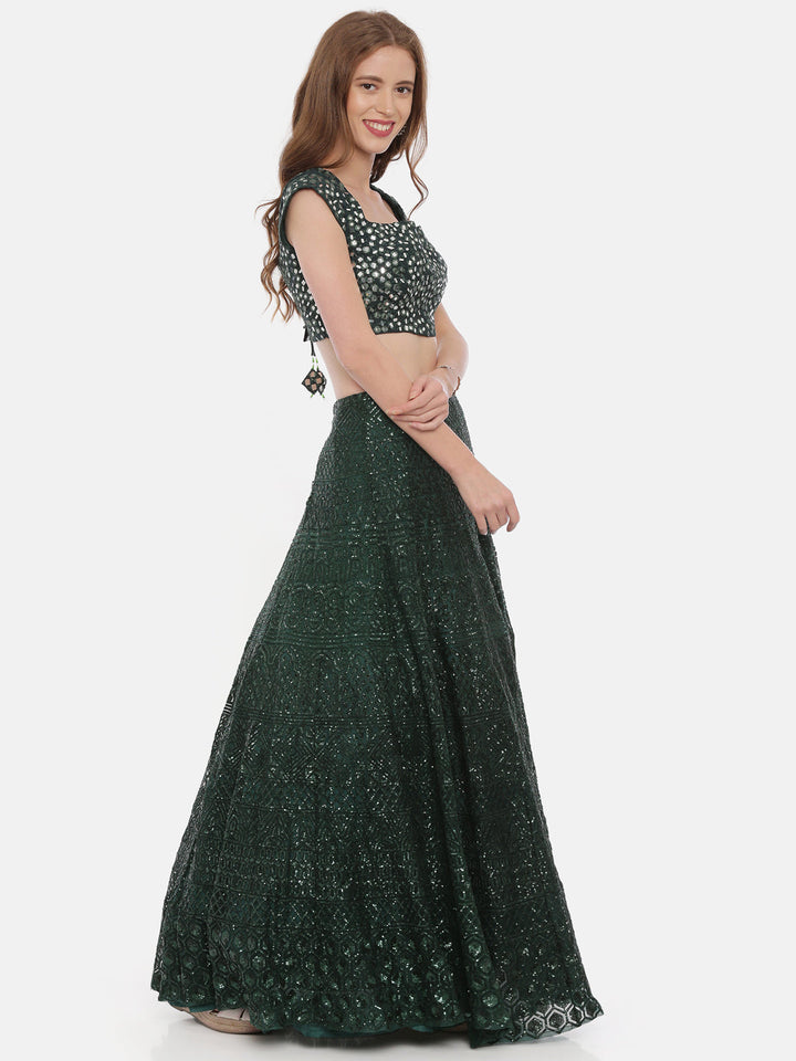 Neerus Green net embellished lehenga set - detail view 2