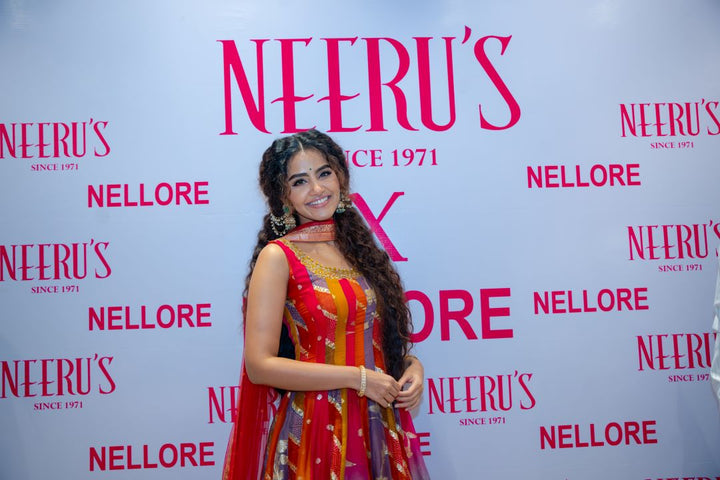 Neerus Multi organza embroidered anarkali suit set - detail view 3