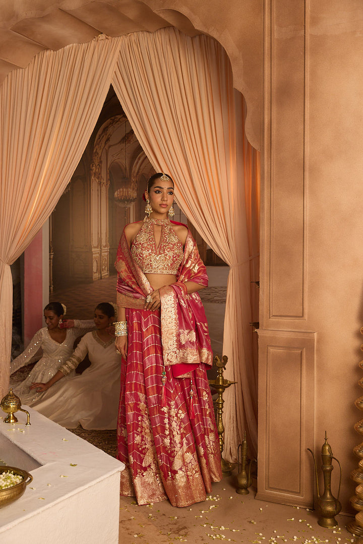 Neerus Pink tissue embroidered lehenga set - detail view 5