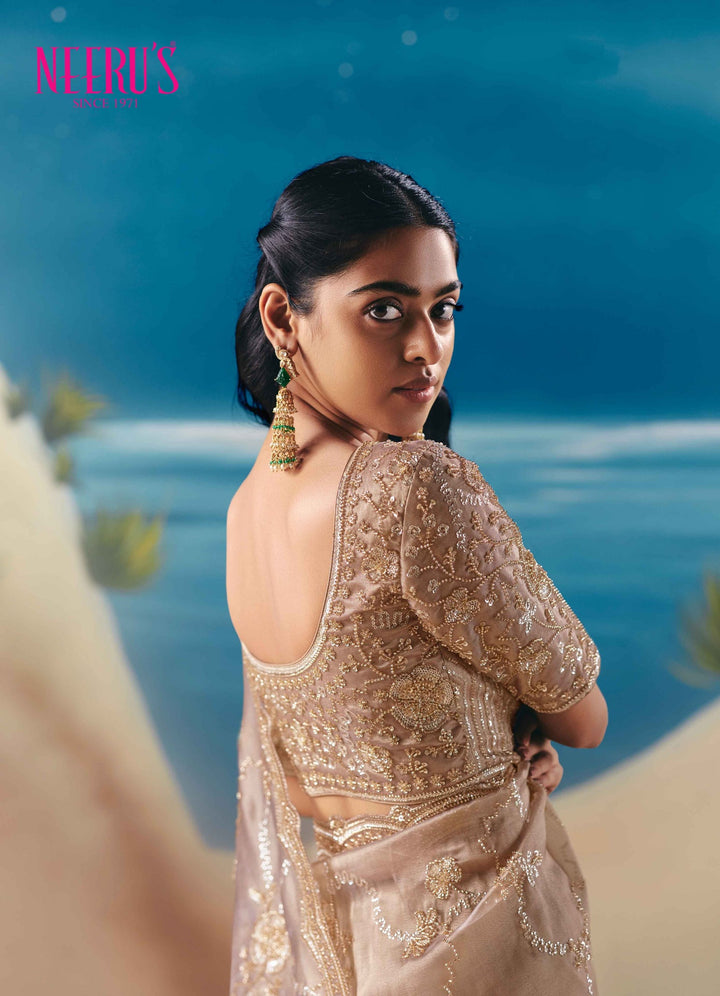 Neerus Gold tissue hand embroidered saree - back view