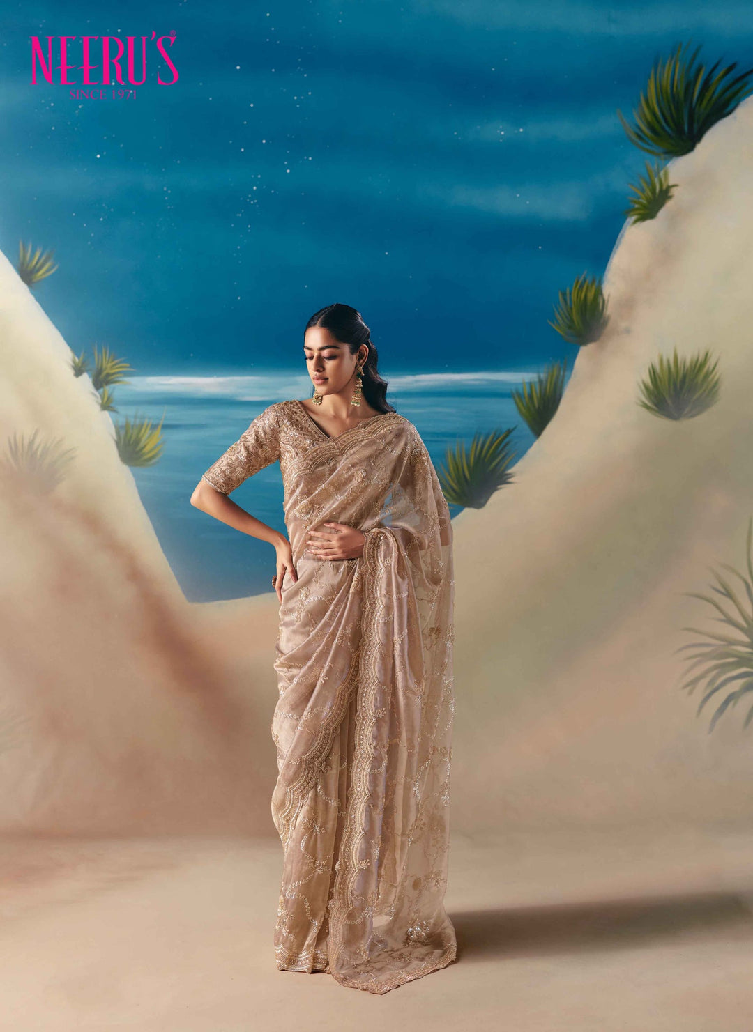 Neerus Gold tissue hand embroidered saree - front view
