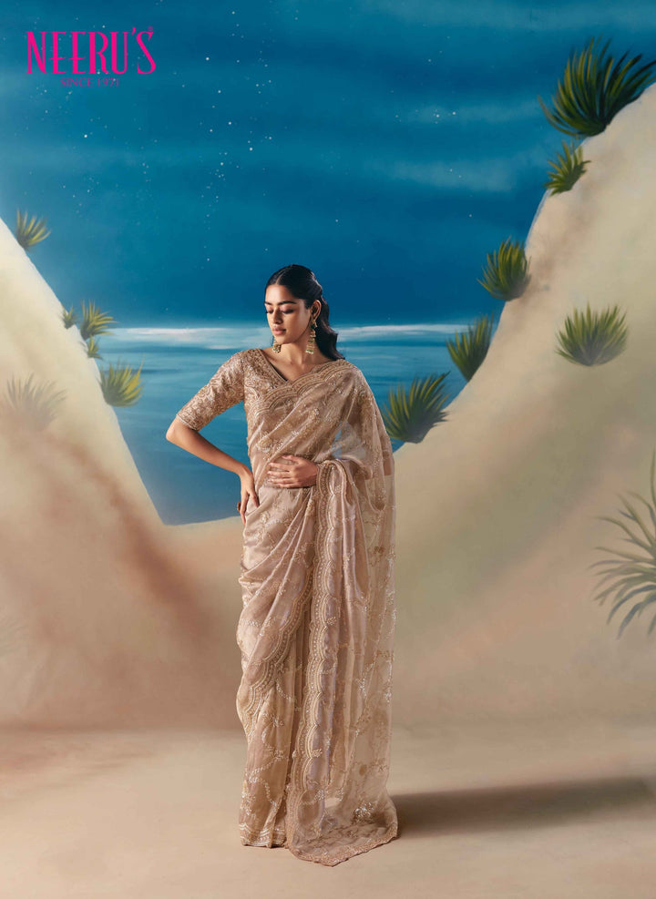 Neerus Gold tissue hand embroidered saree - front view