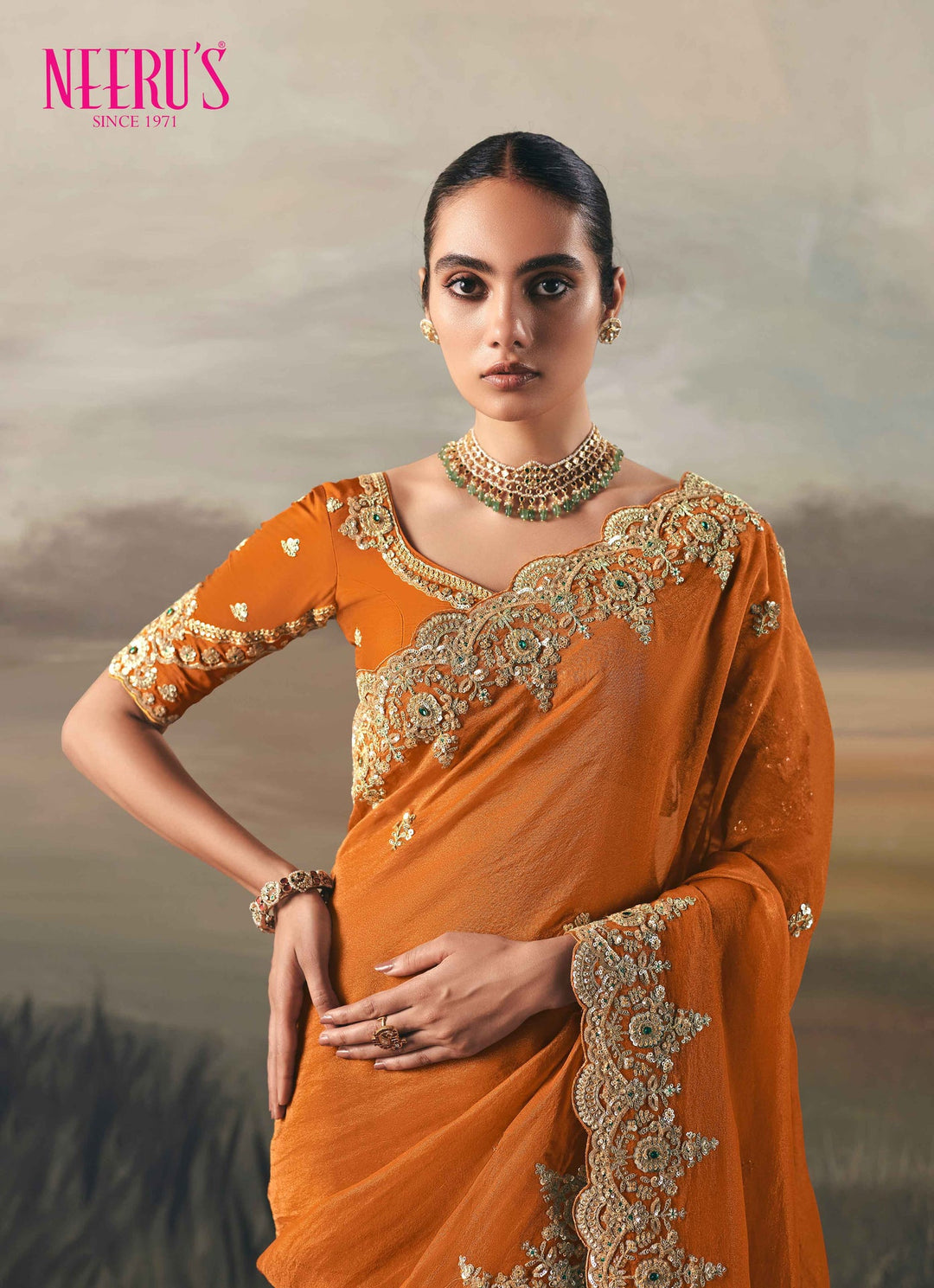Neerus Orange tissue embellished saree - back view