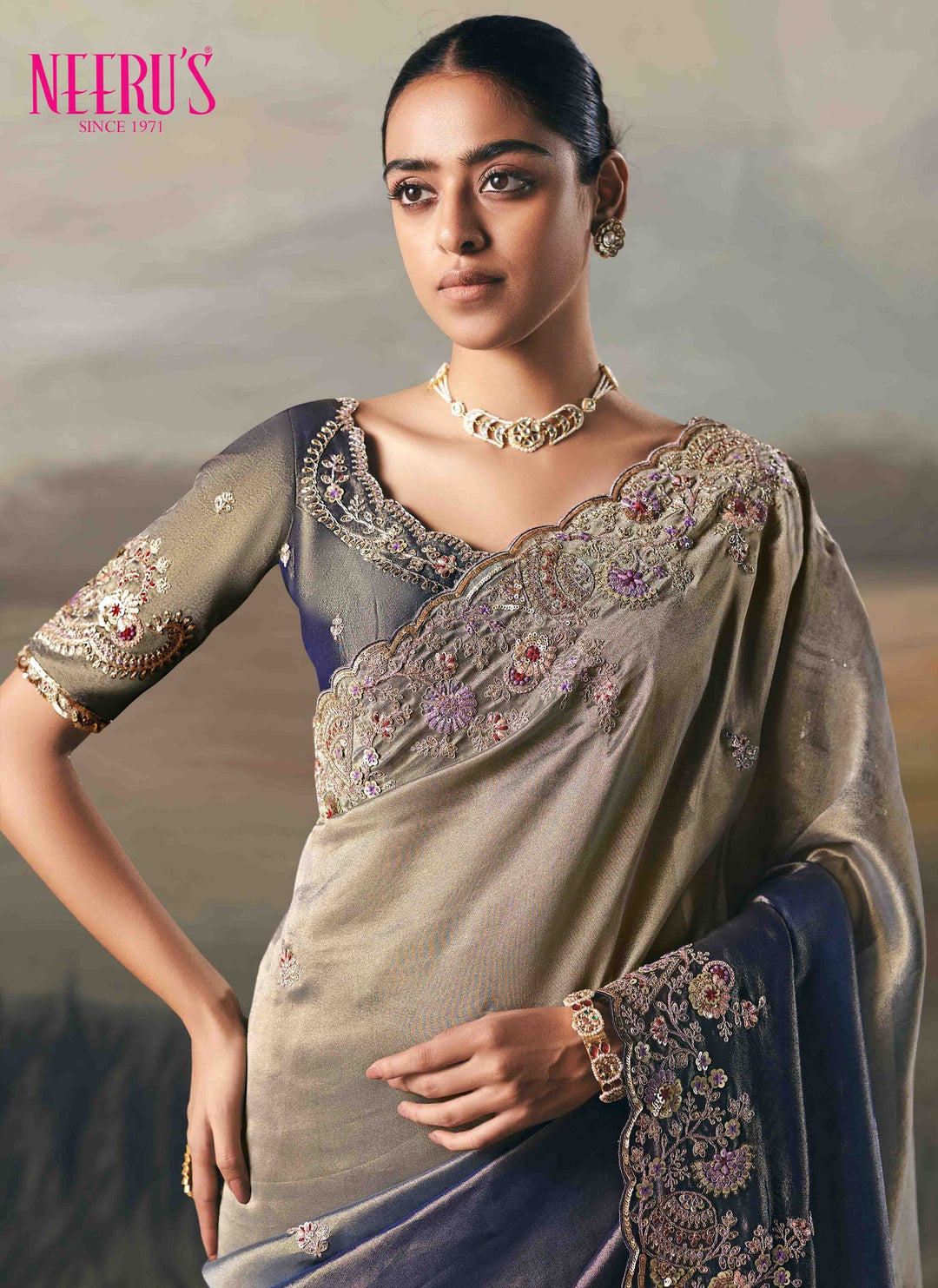 Neerus Blue tissue hand embroidered saree - back view