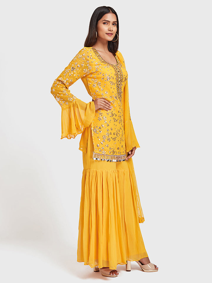 Neerus Yellow georgette embroidered sharara set - back view
