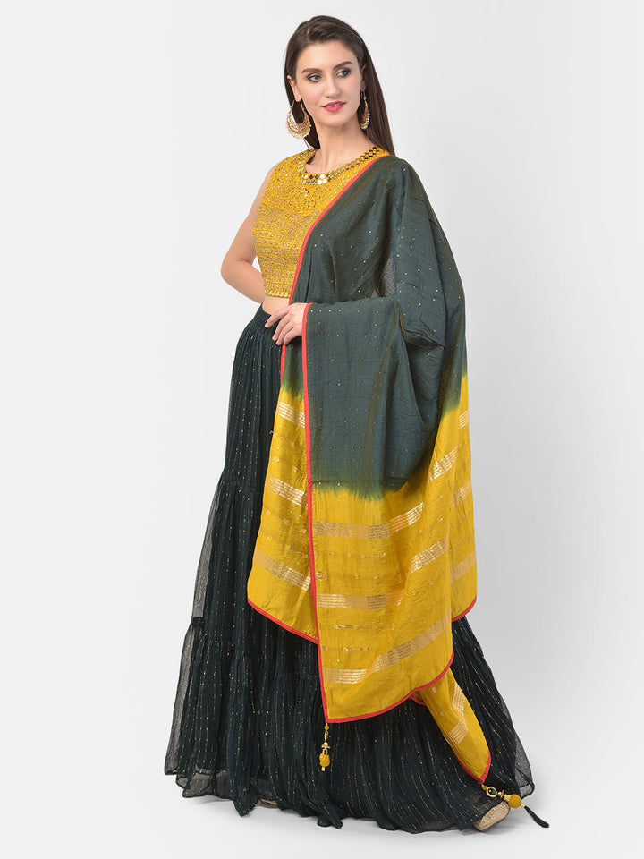 Neerus Green georgette embellished lehenga set - front view