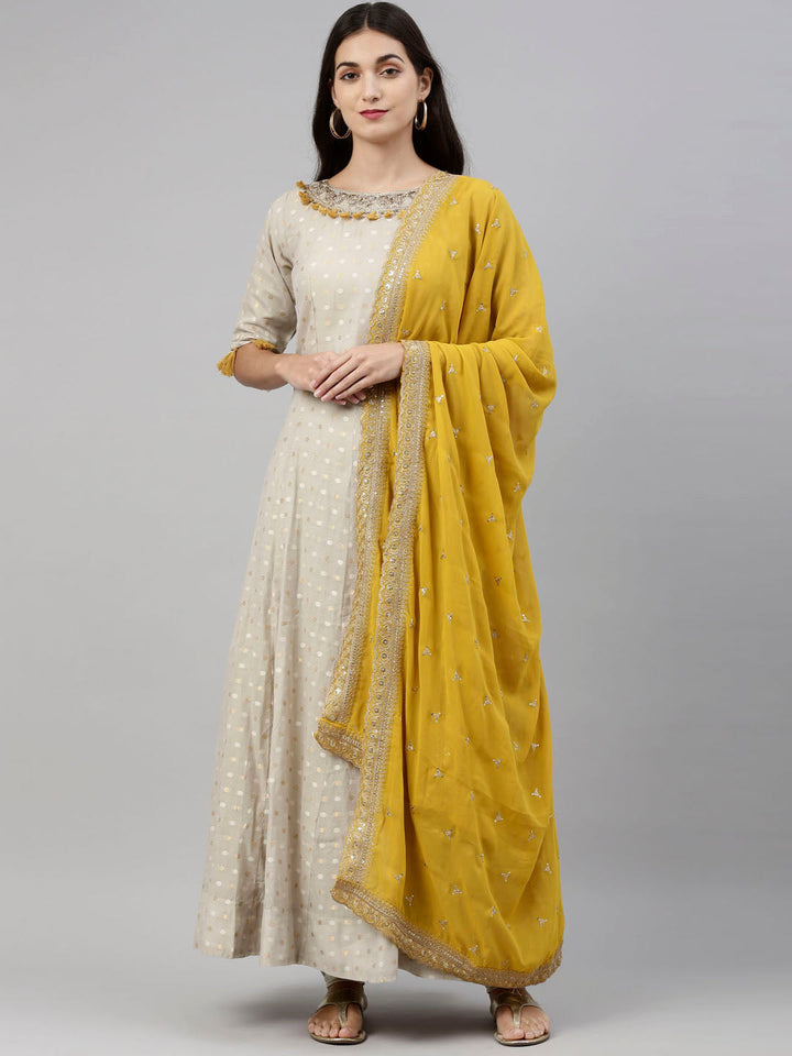 Neerus Grey Chanderi Anarkali suit set - front view