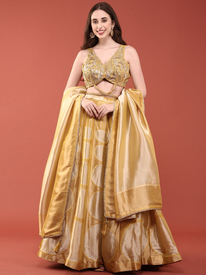 Neerus Yellow net hand embroidered lehenga set - back view