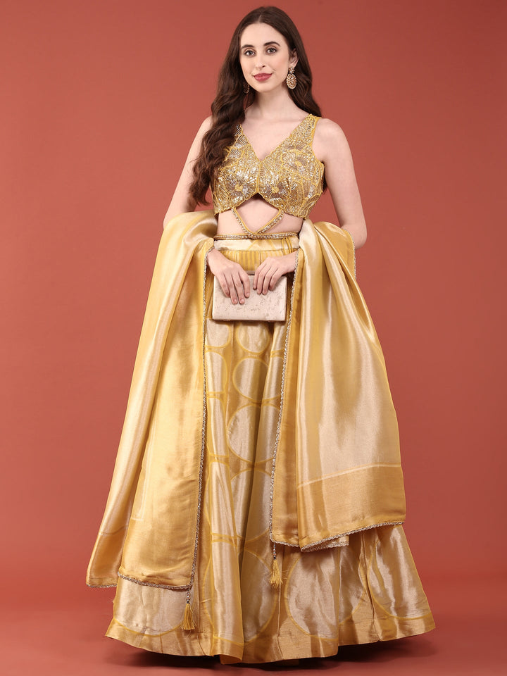 Neerus Yellow net hand embroidered lehenga set - front view