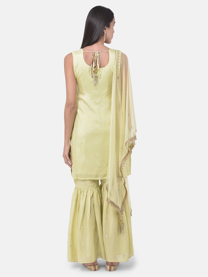 Neerus Green Embellished Zari Kurta Sharara Set - side view