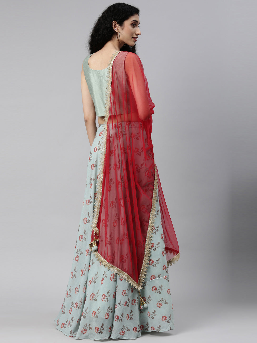 Neerus Multi georgette printed lehenga choli - detail view 17