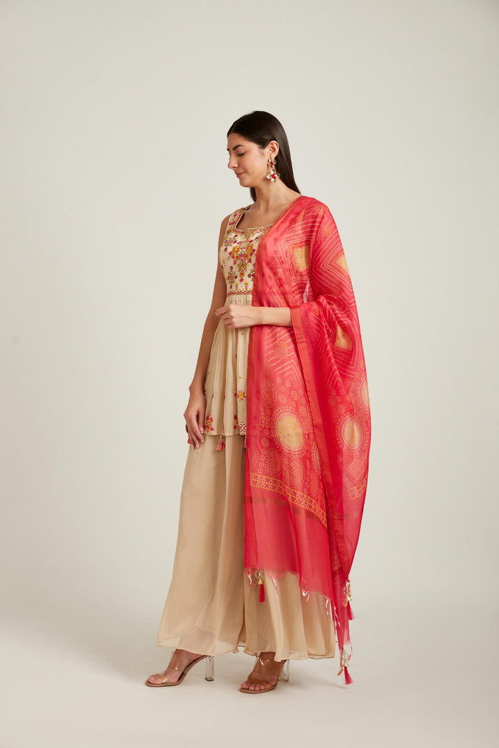 Neerus Beige georgette thread embroidered anarkali suit set - front view
