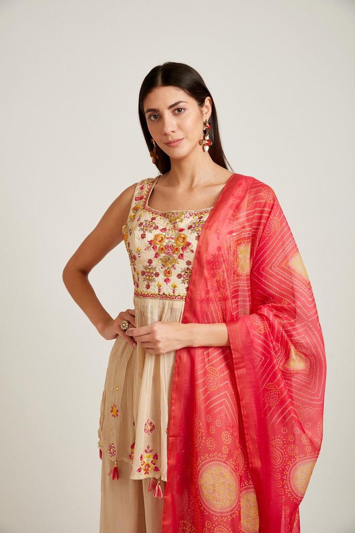 Neerus Beige georgette thread embroidered anarkali suit set - back view