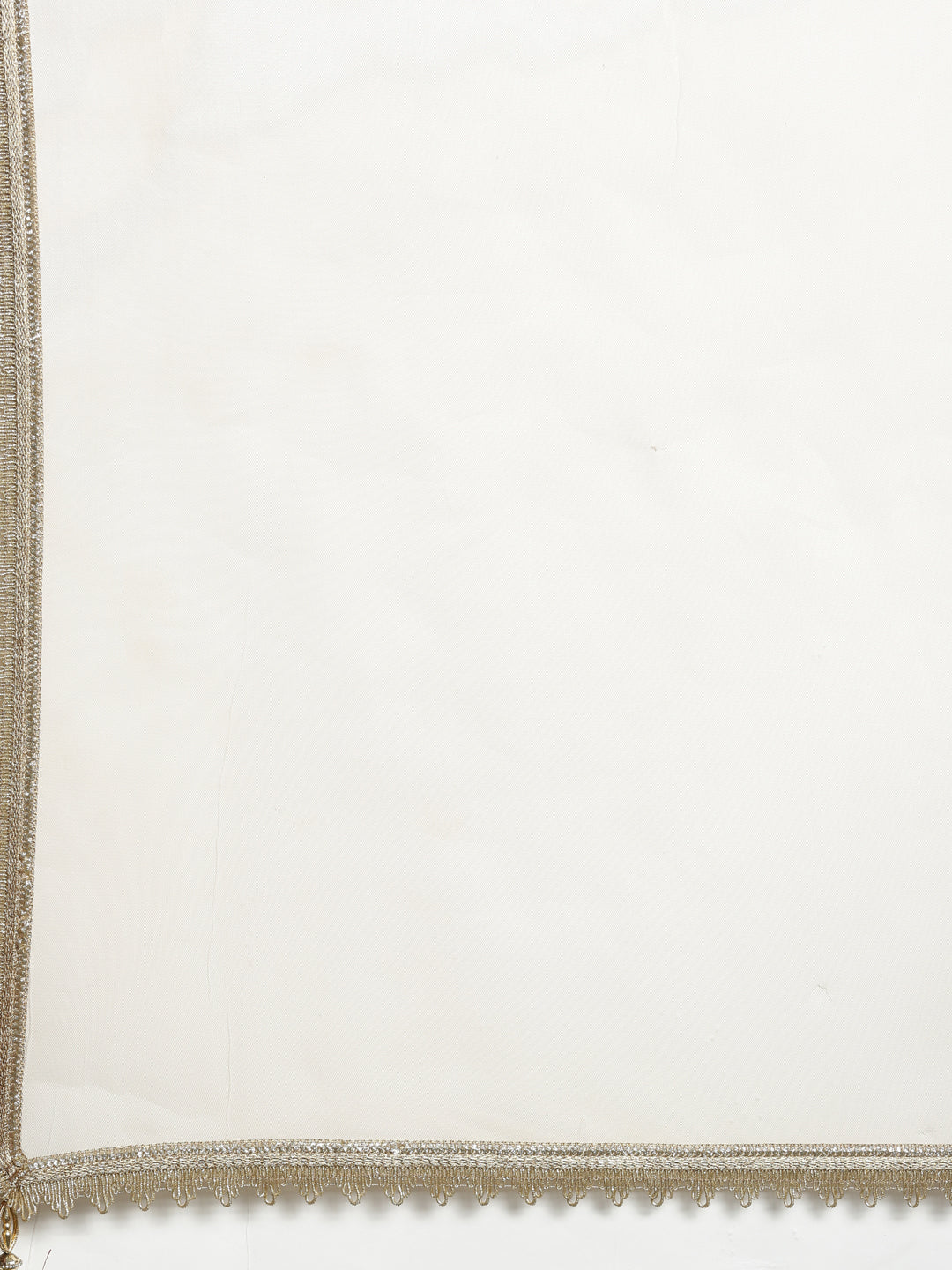 Neerus Beige georgette anarkali suit - detail view 4