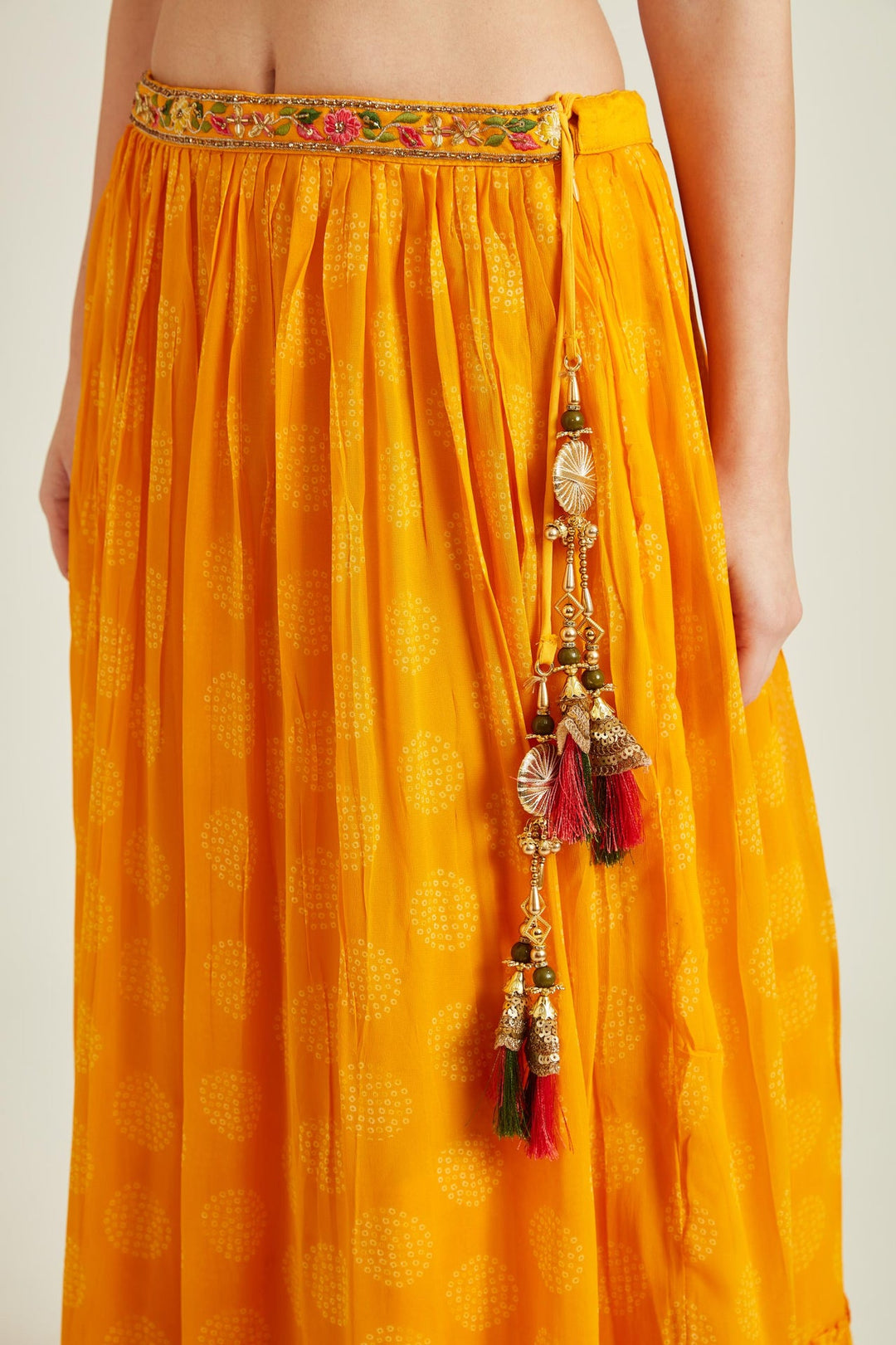 Neerus Yellow georgette embellished lehenga set - detail view 3