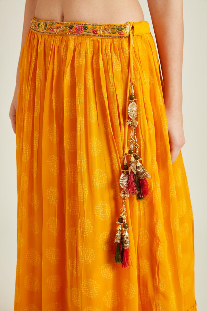 Neerus Yellow georgette embellished lehenga set - detail view 3