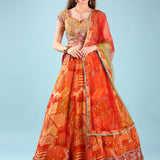 Rust Chinnon Hand Embroidery Ghagra Set