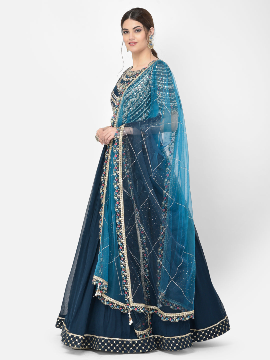 Neerus Blue georgette embellished gown with dupatta - back view