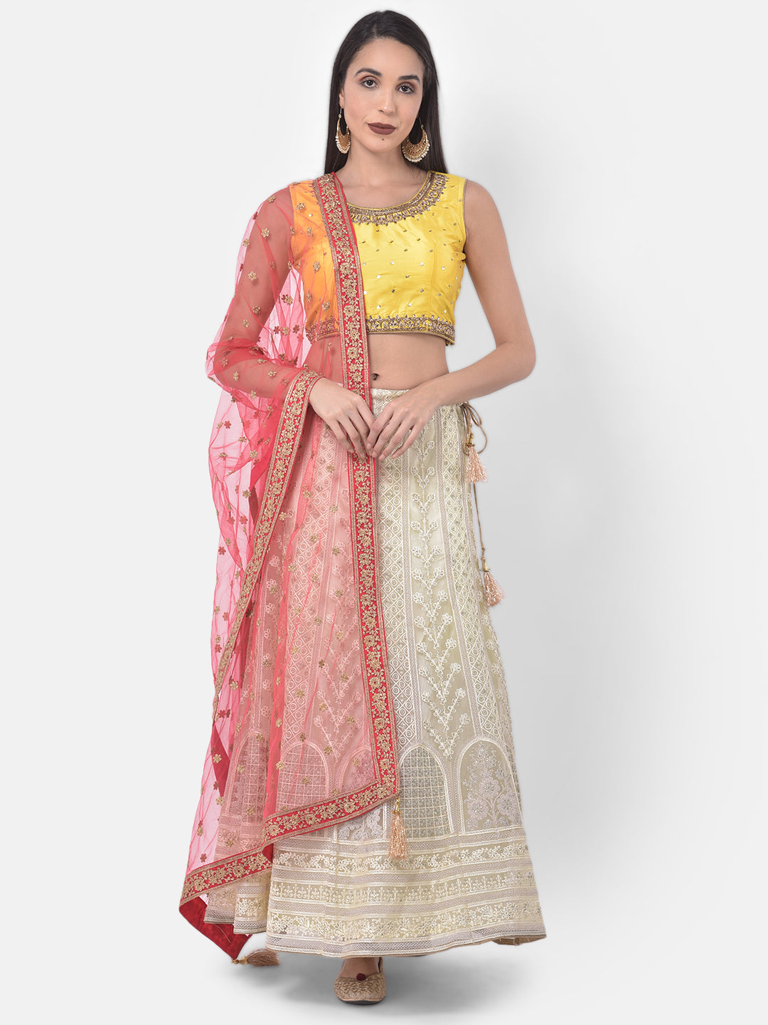 Neerus Beige net embellished lehenga set - detail view 6