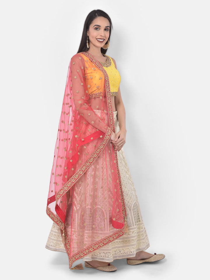 Neerus Beige net embellished lehenga set - front view