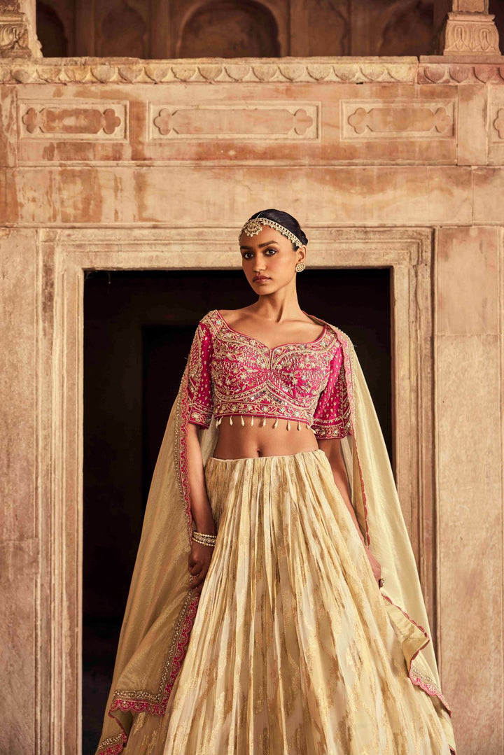 Neerus Pink tissue embroidered lehenga set - back view