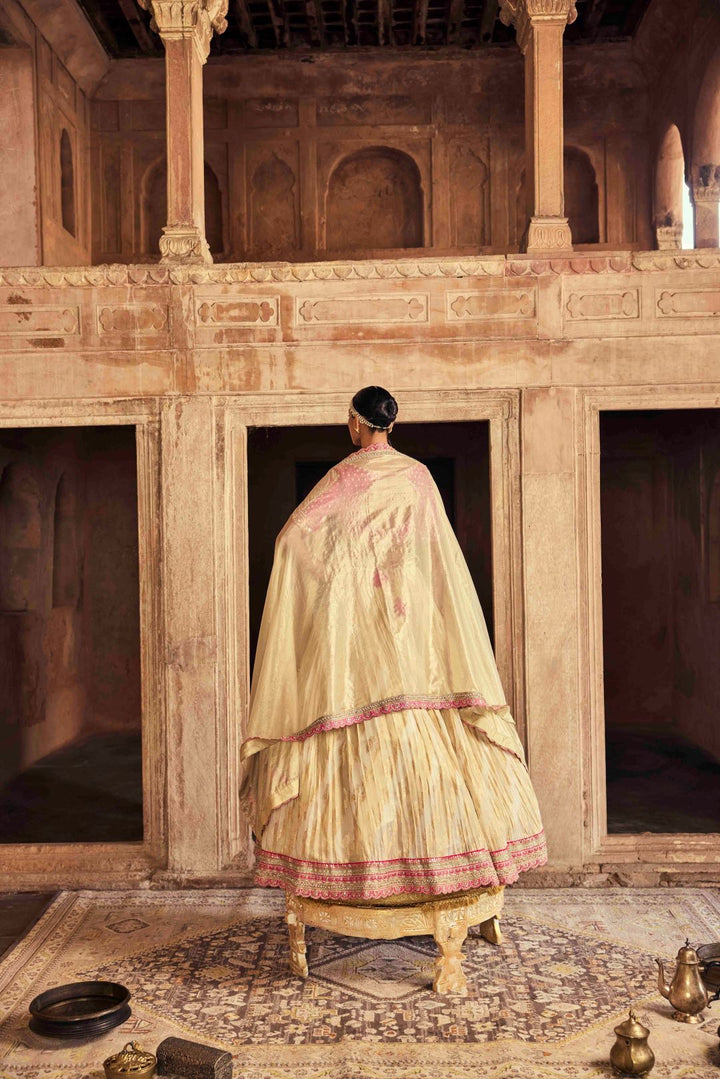 Neerus Pink tissue embroidered lehenga set - side view