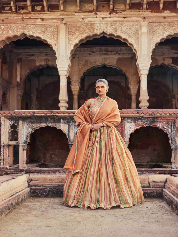 Neerus Multicolor Embroidery Tissue Fabric Ghagra set