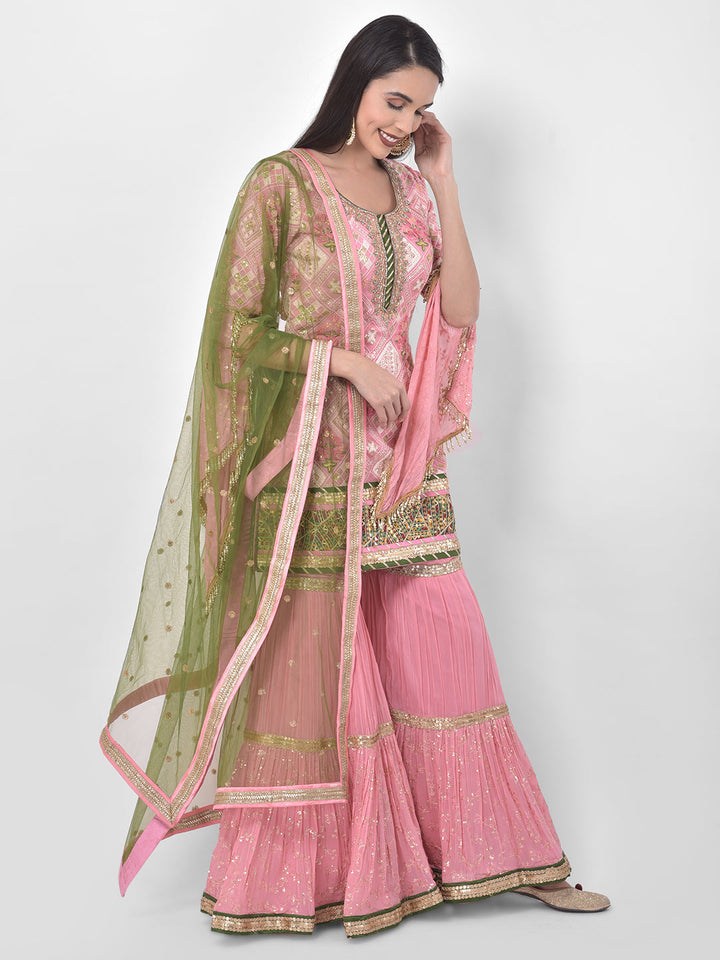 Neerus Pink georgette embroidered sharara set - back view