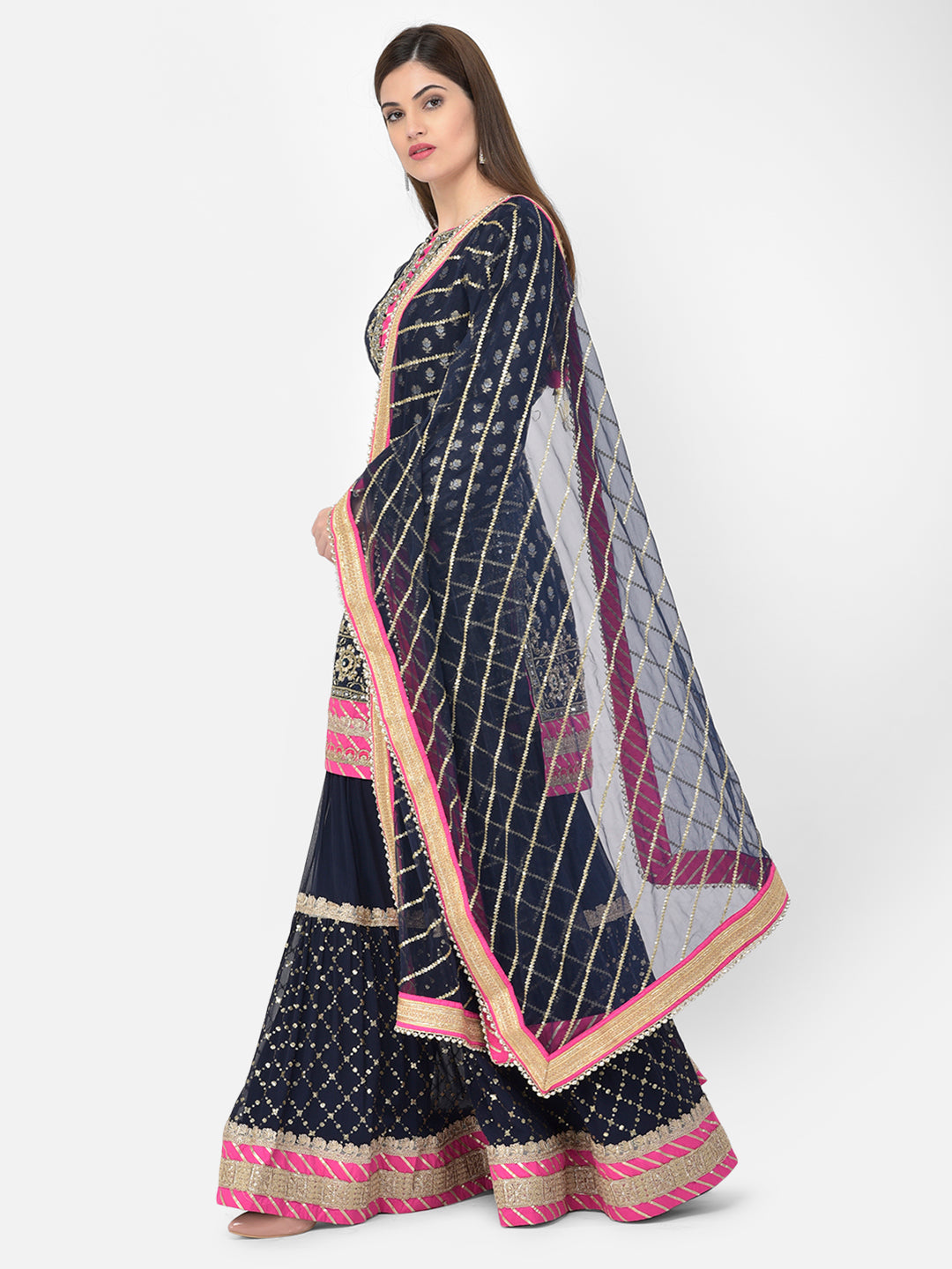 Neerus Blue Banarasi woven sharara set - back view