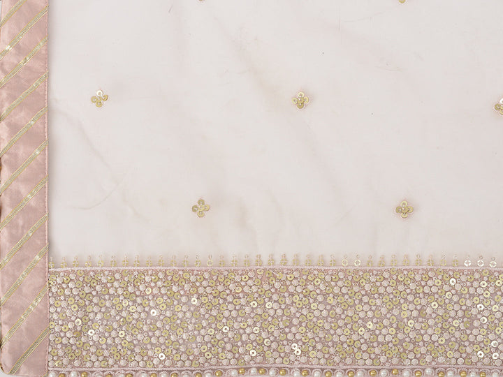 Neerus Grey georgette embroidered suit set - detail view 4