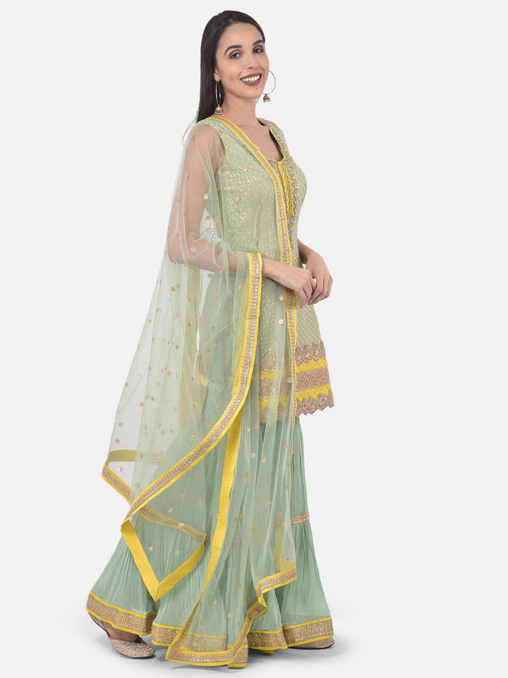 Neerus Green georgette embroidered sharara set - back view